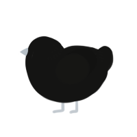 (unnamed), a black chicken with a neck-band pattern