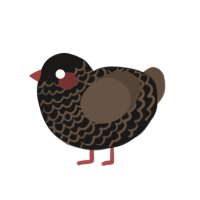 (unnamed), a sable and bark chicken with a lace pattern