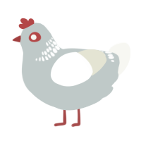 (unnamed), a silver and white chicken with a neck-band pattern