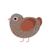 (unnamed), a ash and russet chicken with a lace pattern