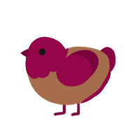 cherry cordial, a brown and maroon chicken with a head pattern