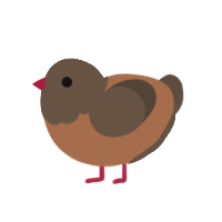 (unnamed), a brown and bark chicken with a head pattern