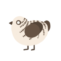 (unnamed), a cream and bark chicken with a half-bar pattern