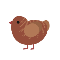 Confession, a russet and brown chicken with a half-bar pattern