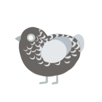 (unnamed), a grey and mist chicken with a half-lace pattern