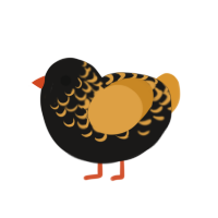 (unnamed), a sable and orange chicken with a half-lace pattern