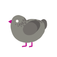 pebble, a ash and grey chicken with a neck-speckle pattern