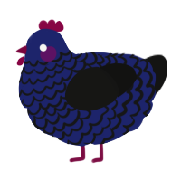 (unnamed), a navy and black chicken with a lace pattern