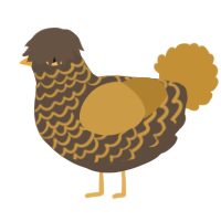 Bock, a bark and gold chicken with a lace pattern