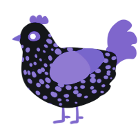 Kneth, a black and blurple chicken with a speckle pattern