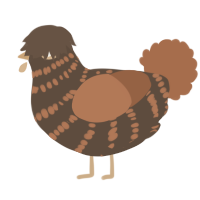 Bihh burr, a bark and brown chicken with a bar pattern