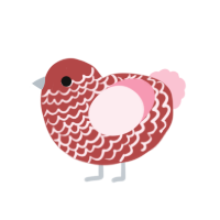 (unnamed), a red and rose chicken with a lace pattern