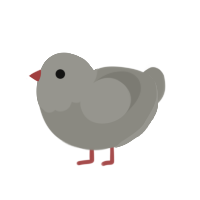 (unnamed), a ash chicken with a head pattern