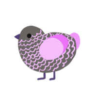 Moxi, a grey and lavender chicken with a lace pattern