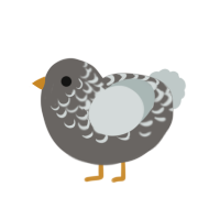 (unnamed), a grey and silver chicken with a half-lace pattern