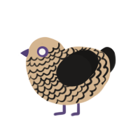 1 Name, a beige and sable chicken with a lace pattern