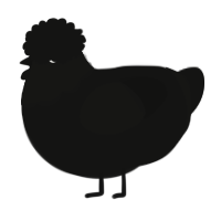 Voidboy, a black chicken with a head pattern