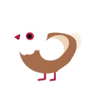 Portabella, a brown and cream chicken with a head pattern