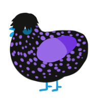 Vapor, a black and blurple chicken with a speckle pattern