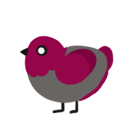 licorice, a grey and maroon chicken with a head pattern