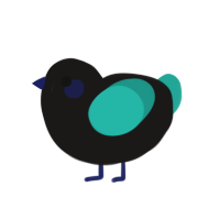 (unnamed), a sable and turquoise chicken