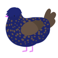 Batman, a navy and bark chicken with a speckle pattern