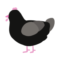 Pinktoes Jr, a black and grey chicken