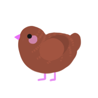 (unnamed), a russet chicken with a half-bar pattern