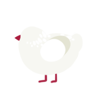 Project White, a white chicken with a neck-speckle pattern