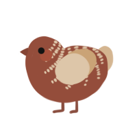 Ristretto, a russet and beige chicken with a half-bar pattern