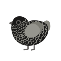 (unnamed), a sable and ash chicken with a lace pattern