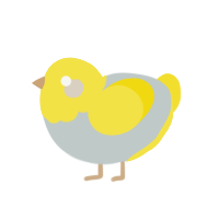 (unnamed), a silver and yellow chicken with a head pattern