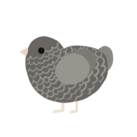 (unnamed), a grey and ash chicken with a lace pattern