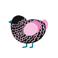 Floss, a black and pink chicken with a lace pattern