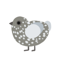 (unnamed), a ash and mist chicken with a speckle pattern