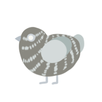 (unnamed), a ash and silver chicken with a bar pattern