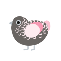 (unnamed), a grey and rose chicken with a half-lace pattern