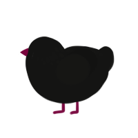 Universe X Luna, a black chicken with a neck-speckle pattern