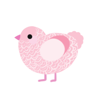 Rosy, a rose chicken with a double-lace pattern