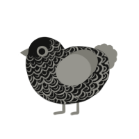 (unnamed), a black and ash chicken with a double-lace pattern