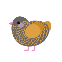 (unnamed), a grey and orange chicken with a lace pattern