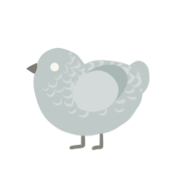 rock, a silver chicken with a half-lace pattern