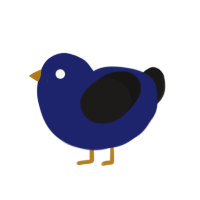 quintessential bird, a navy and sable chicken