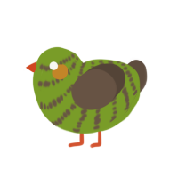 Kiwi, a chartreuse and bark chicken with a bar pattern