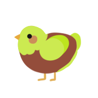 Kiwi, a russet and lime chicken with a head pattern