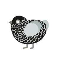 Baby, a sable and silver chicken with a lace pattern