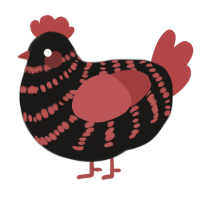 Johnny, a sable and red chicken with a bar pattern