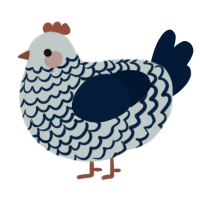 Bud, a silver and tumblr chicken with a lace pattern