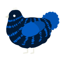 Seafloor, a tumblr and ultramarine chicken with a bar pattern