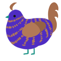 Will, a indigo and brown chicken with a bar pattern